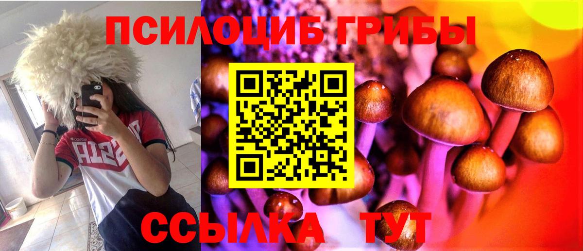 Галлюциногенные грибы прущие грибы Егорьевск